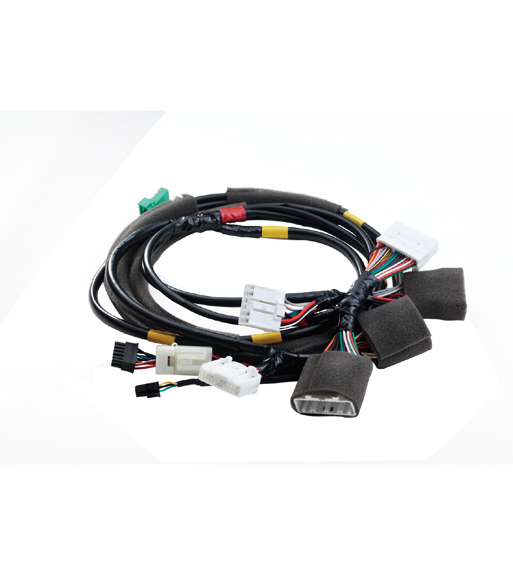 Internal Assembly Harness