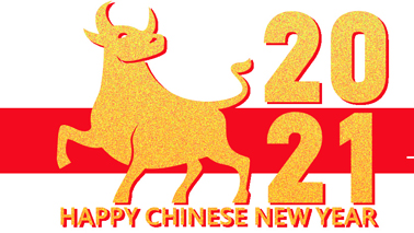 Happy Chinese New Year!