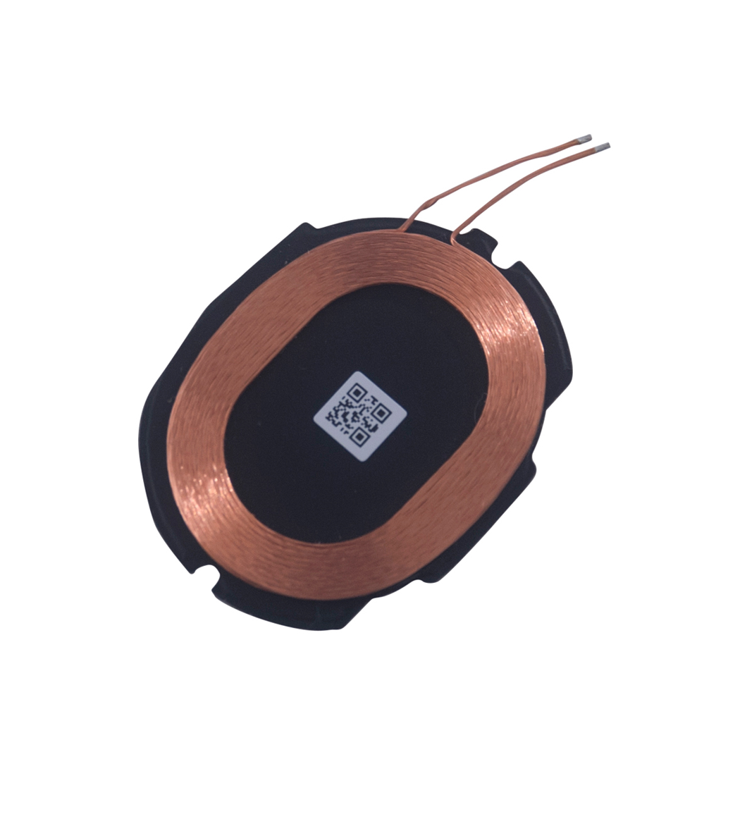 TWS Earphone Rx Module